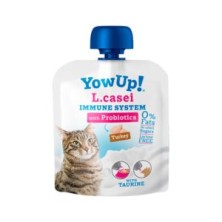 yogur-lcasei-probioticos-gatos