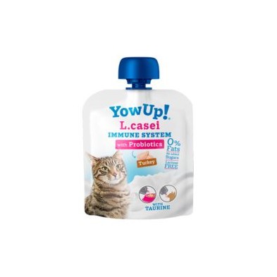 yogur-lcasei-probioticos-gatos