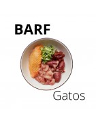 Dieta BARF Gatos